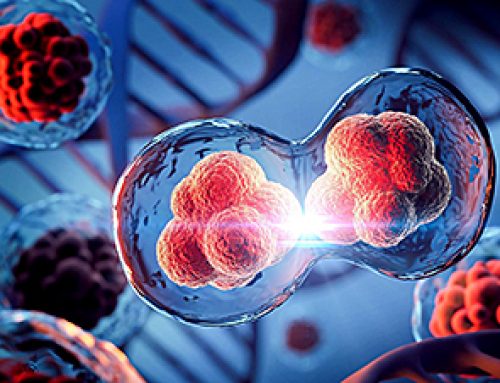 Scientists Just Discovered a Cellular Survival System That Was Never Supposed To Exist