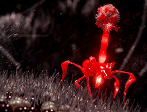 Artificial intelligence used to design brand new viruses